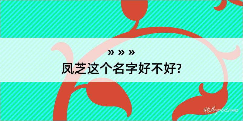 凤芝这个名字好不好?