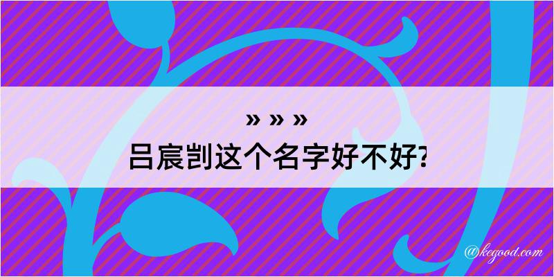 吕宸剀这个名字好不好?