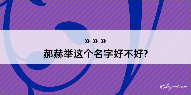 郝赫举这个名字好不好?