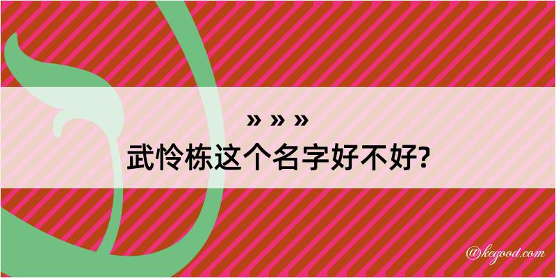 武怜栋这个名字好不好?