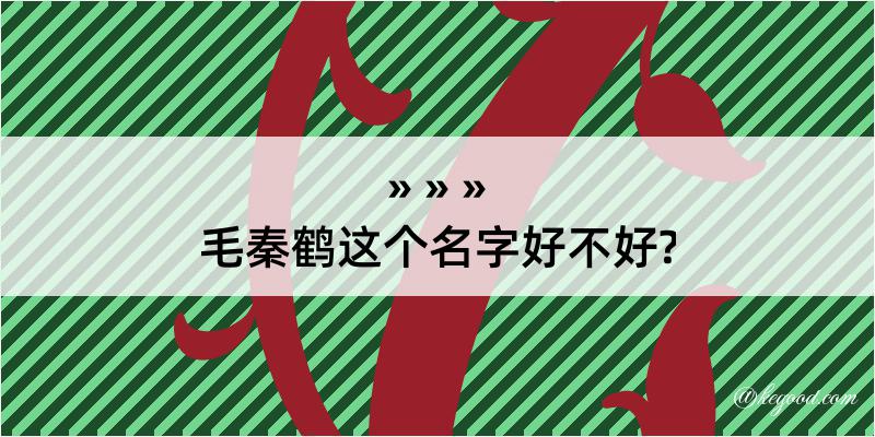 毛秦鹤这个名字好不好?