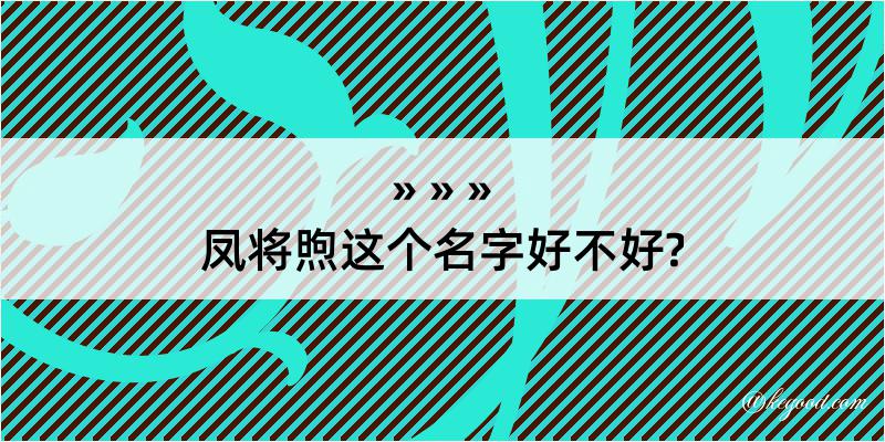 凤将煦这个名字好不好?