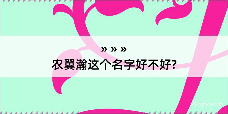 农翼瀚这个名字好不好?