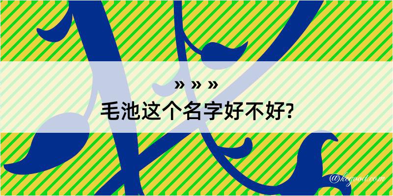 毛池这个名字好不好?