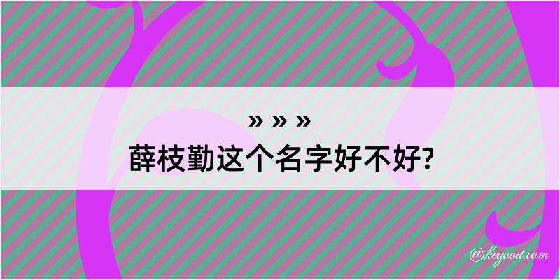 薛枝勤这个名字好不好?