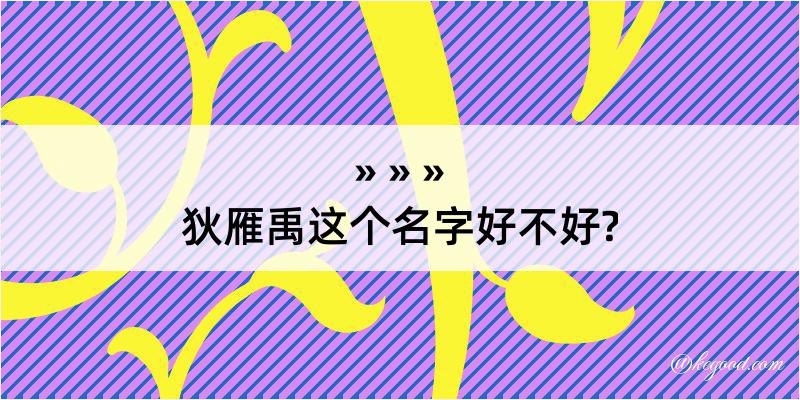 狄雁禹这个名字好不好?