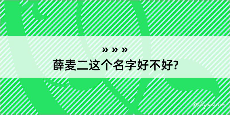 薛麦二这个名字好不好?