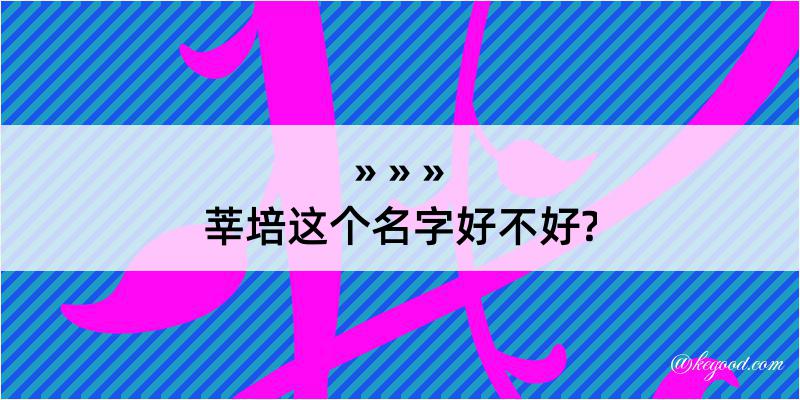 莘培这个名字好不好?