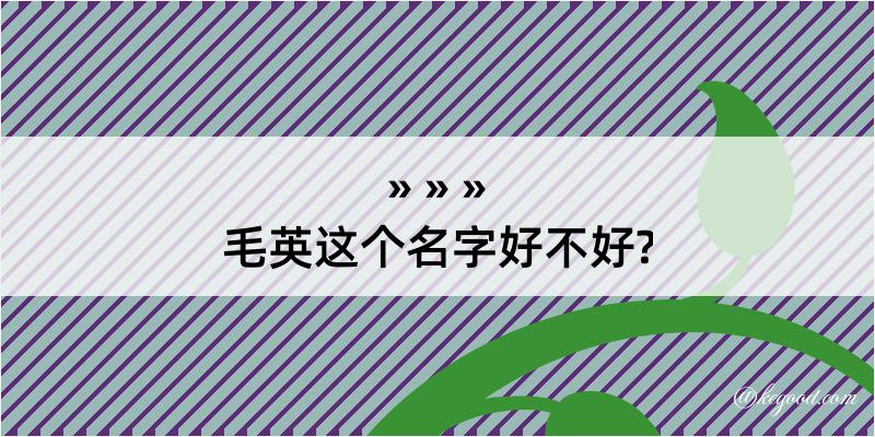 毛英这个名字好不好?