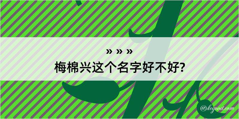 梅棉兴这个名字好不好?