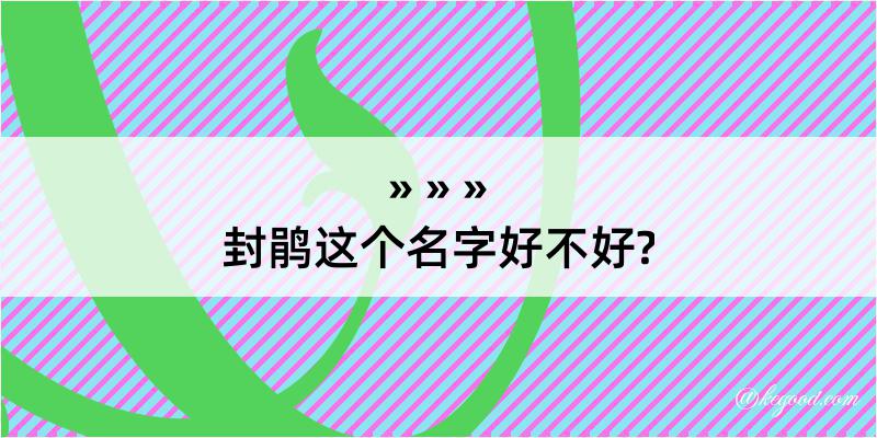 封鹃这个名字好不好?