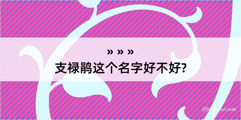 支禄鹃这个名字好不好?