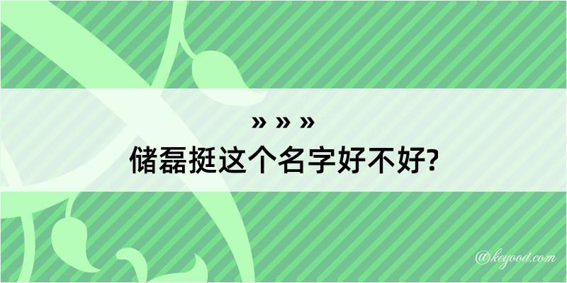 储磊挺这个名字好不好?