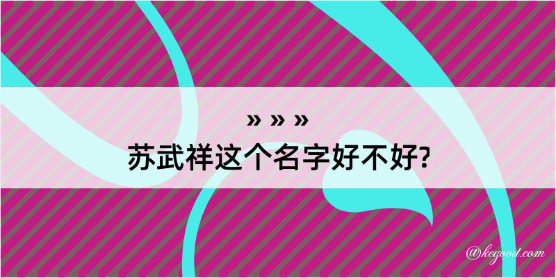 苏武祥这个名字好不好?