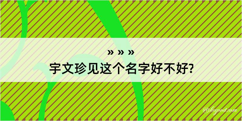 宇文珍见这个名字好不好?