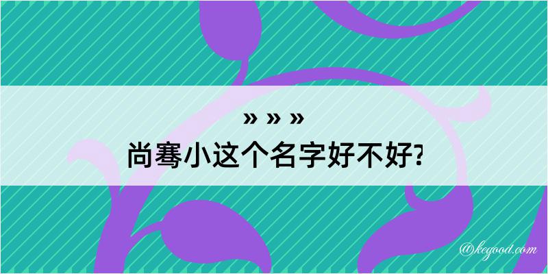 尚骞小这个名字好不好?