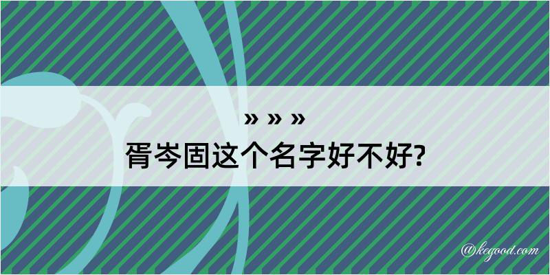 胥岑固这个名字好不好?