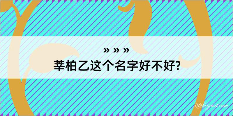 莘柏乙这个名字好不好?