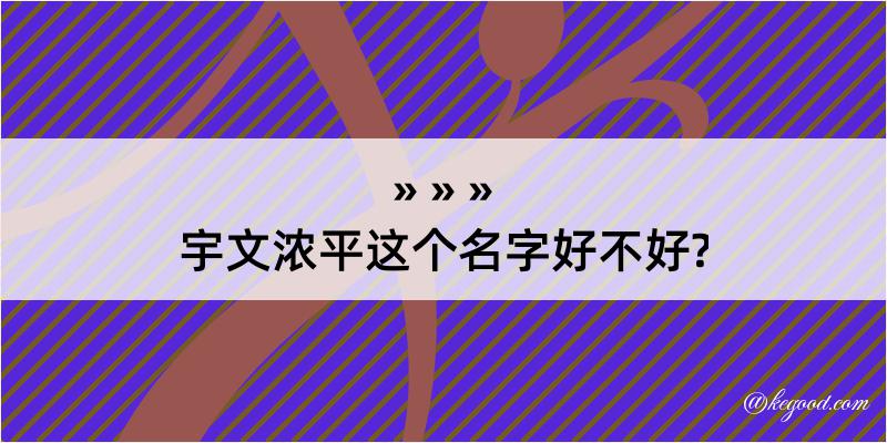 宇文浓平这个名字好不好?