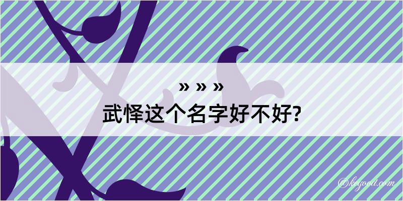 武怿这个名字好不好?