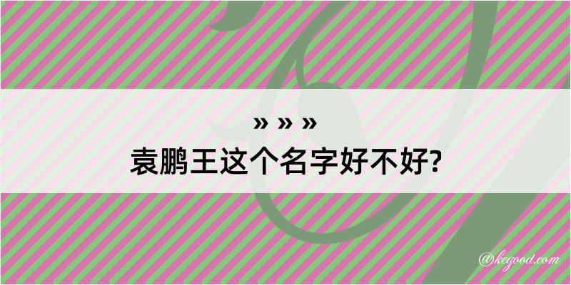 袁鹏王这个名字好不好?