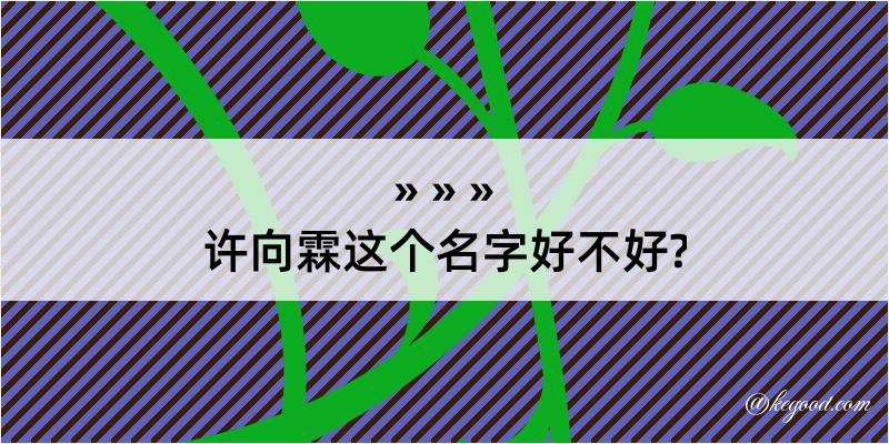 许向霖这个名字好不好?