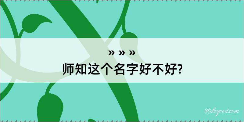 师知这个名字好不好?