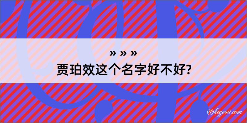 贾珀效这个名字好不好?