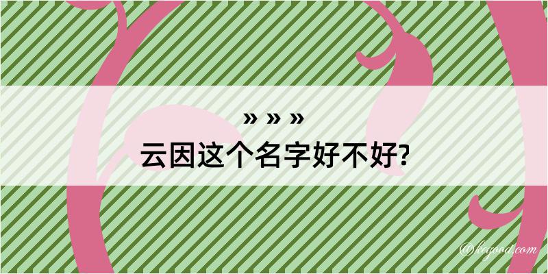 云因这个名字好不好?