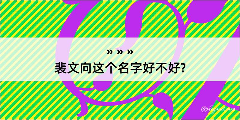 裴文向这个名字好不好?