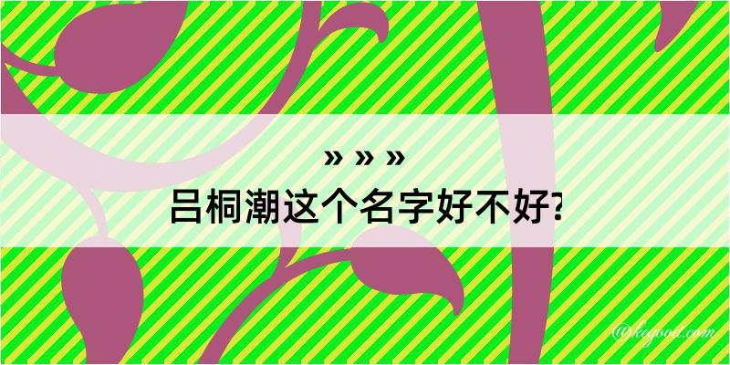 吕桐潮这个名字好不好?