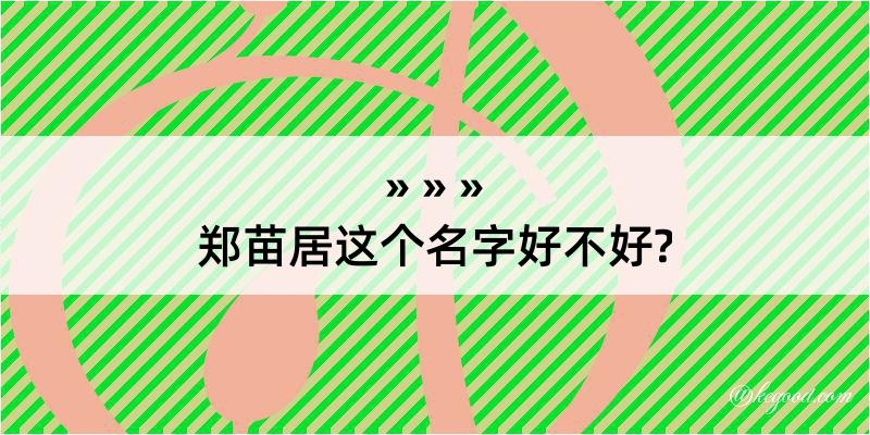 郑苗居这个名字好不好?