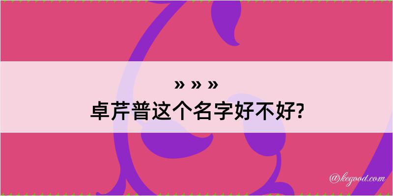 卓芹普这个名字好不好?