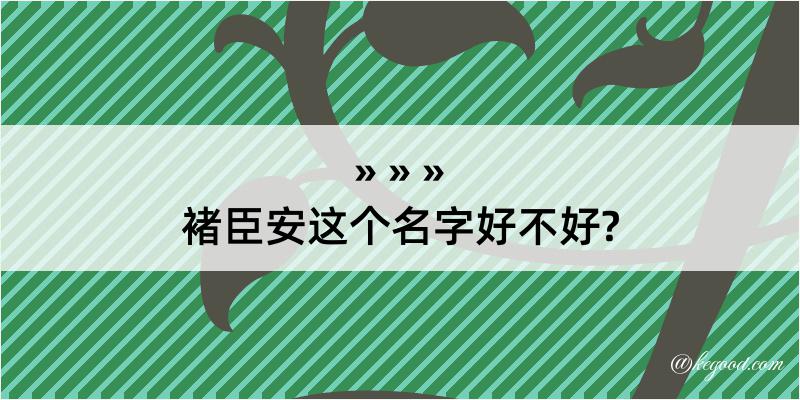 褚臣安这个名字好不好?