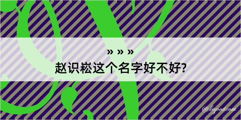 赵识崧这个名字好不好?