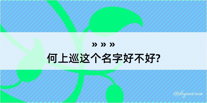 何上巡这个名字好不好?