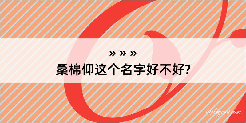 桑棉仰这个名字好不好?