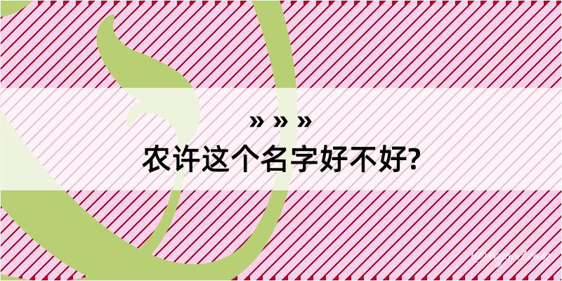 农许这个名字好不好?