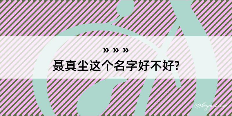 聂真尘这个名字好不好?