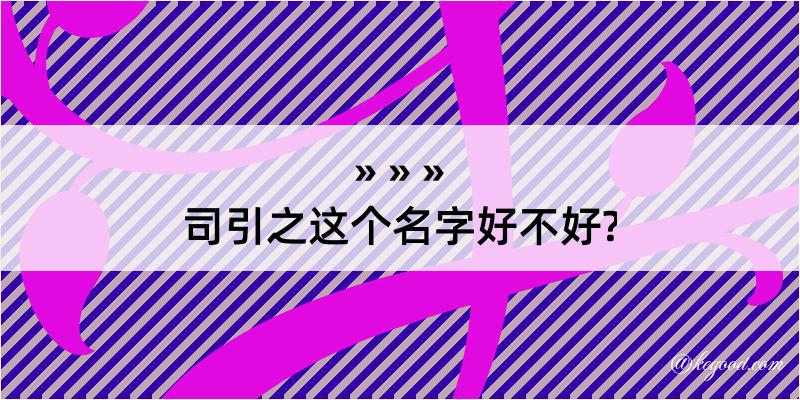 司引之这个名字好不好?