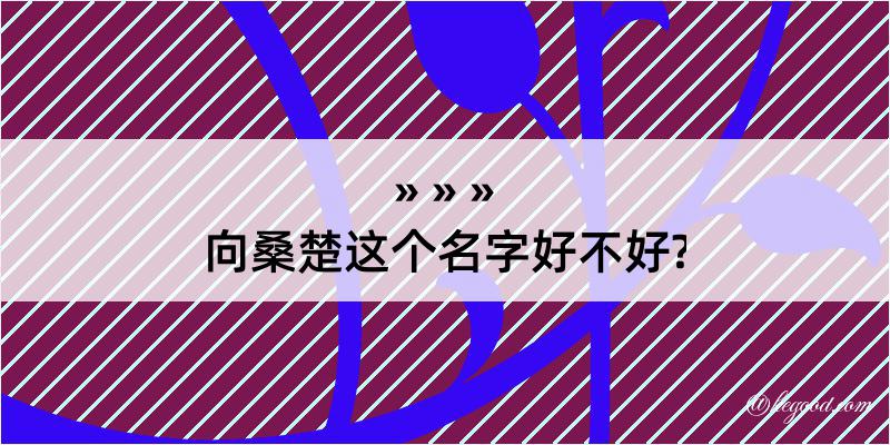 向桑楚这个名字好不好?