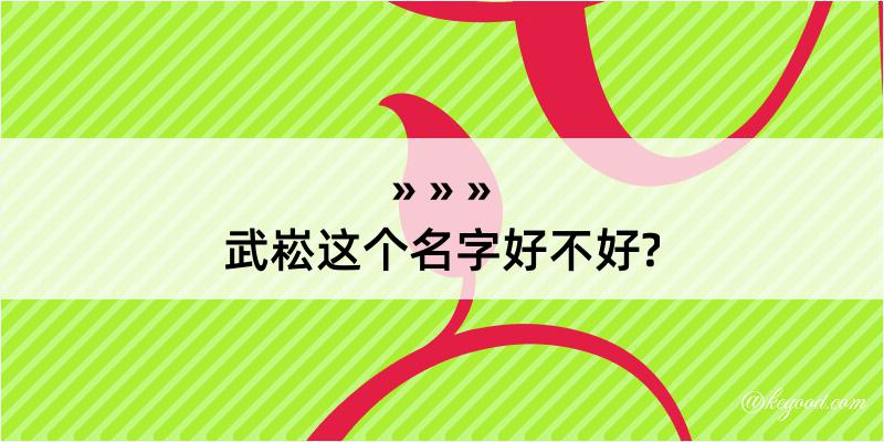 武崧这个名字好不好?