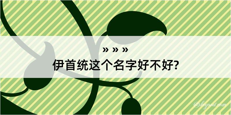 伊首统这个名字好不好?