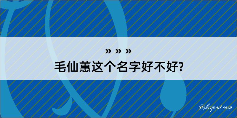 毛仙蕙这个名字好不好?