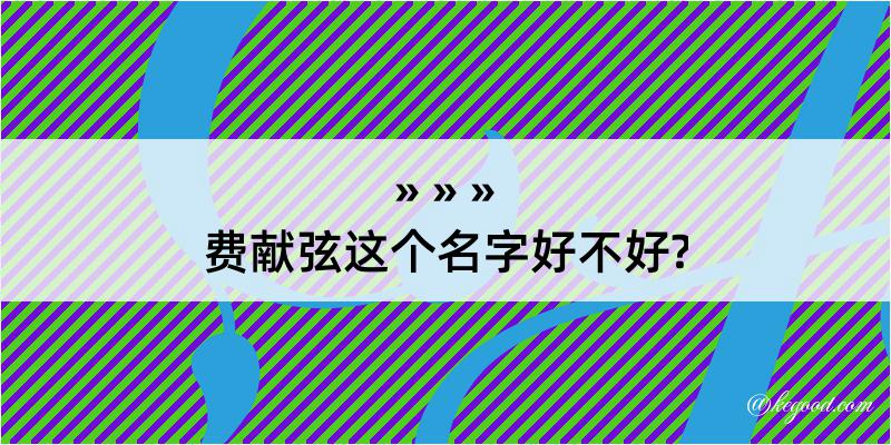 费献弦这个名字好不好?