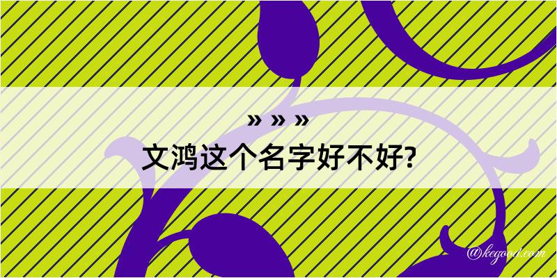 文鸿这个名字好不好?