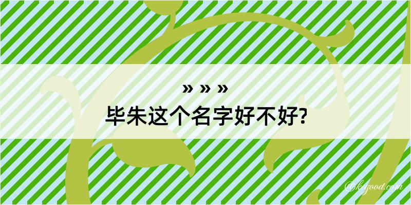 毕朱这个名字好不好?