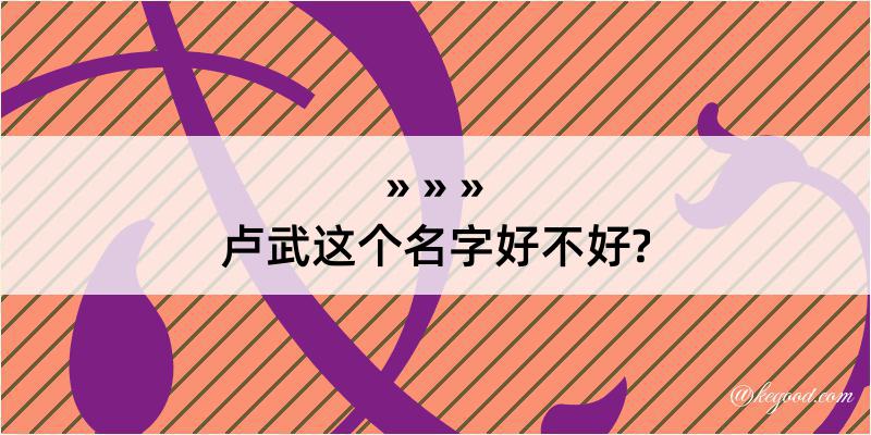 卢武这个名字好不好?