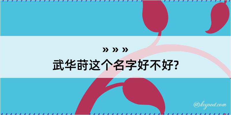 武华莳这个名字好不好?