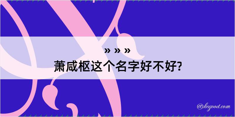 萧咸枢这个名字好不好?